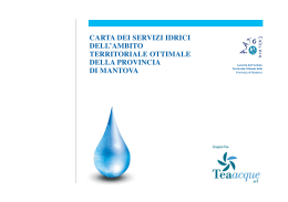 Carta dei servizi idrici