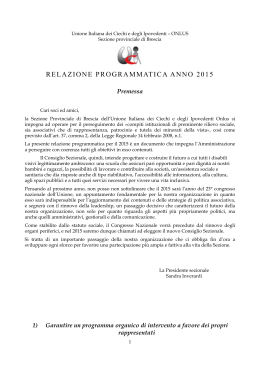 relazione programmatica anno 2015 - Unione Italiana dei Ciechi e