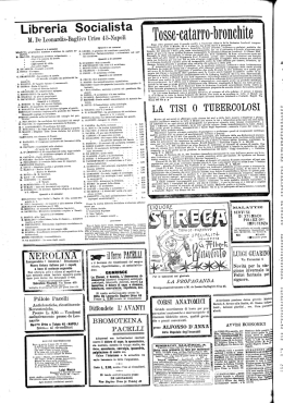 vS`I`ATUTO, programma massimo e minimo de