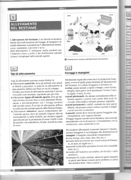 Tecnologia_classi_2_D - ICS "Garibaldi" Castel Volturno