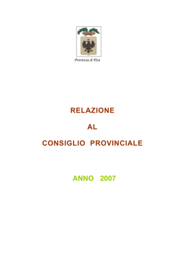 relazione al consiglio provinciale anno 2007