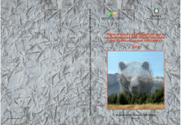 Scarica la Pubblicazione