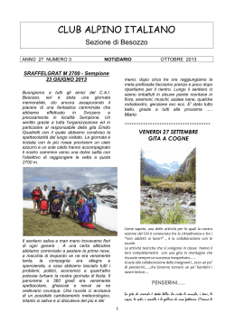 N° 3 Ottobre 2013 pdf