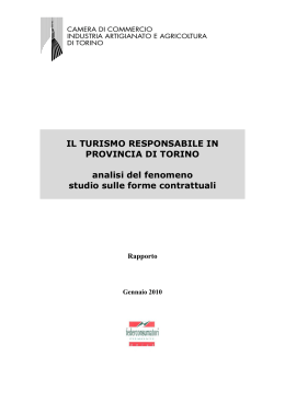 Scarica la ricerca - Camera di commercio di Torino