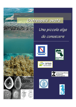 Ostreopsis ovata - Osservatorio Regionale Sicurezza Alimentare