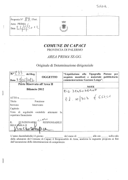 Determina Dirigenziale n. 233/2012