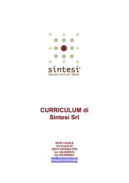 CURRICULUM di Sintesi Srl