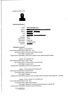 curriculum vitae