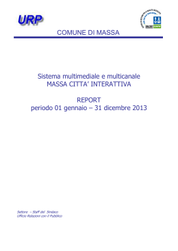 Report Massa Città Interattiva anno 2013