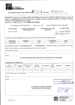 Determinazione del Direttore n. 100/DD del 26.06.2015