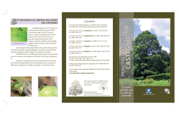 Scarica la brochure - Regione Campania Assessorato Agricoltura