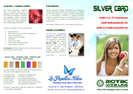 Silver Card - le-papillon