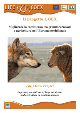 Il progetto COEX