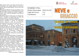 Neve e ghiaccio - Comune di Massa Lombarda