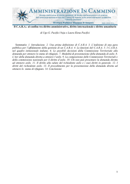 Il CARA: al confine tra diritto amministrativo