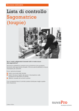 Lista di controllo Sagomatrice (toupie)