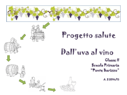 Dall`uva al vino - Capaccio Paestum