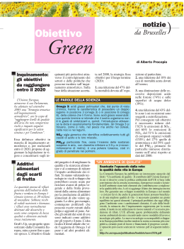 Green 4 febbraio 2007 - Consorzio Interuniversitario Nazionale "La