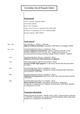 Curriculum Gidaro - 2009-9-8
