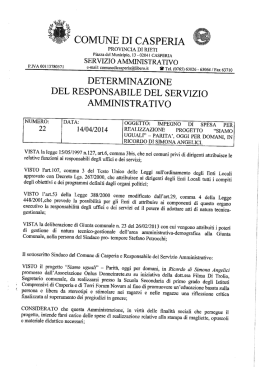 determinazione amm n. 22