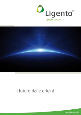 Ligento_green_power_Il futuro dalle origini - energie