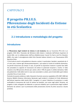 Il progetto PRIUS: svolgimento e metodologia [PDF