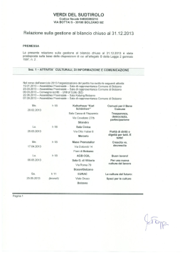 la relazione sulla gestione del bilancio 2013