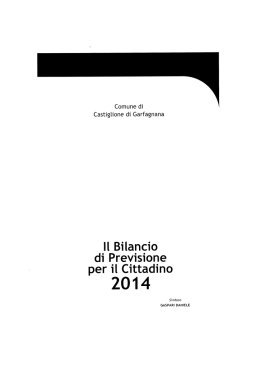 bilancio di previsione per il cittadino