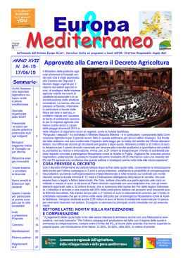 scarica pdf - Euromed Carrefour Sicilia