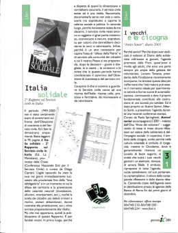 2° rapporto sul servizio civile in Italia