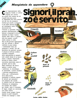 4 - Centro Alberto Manzi