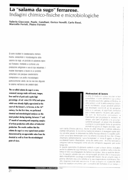 La &ldquo;salama da sugo&rdquo; ferrarese. Indagini chimicoiisiche e