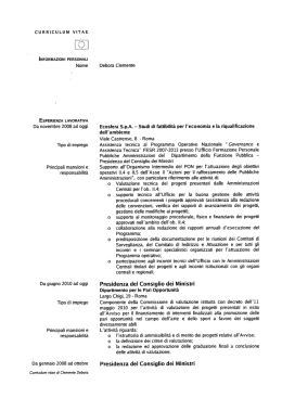 Curriculum - Ministero dello Sviluppo Economico