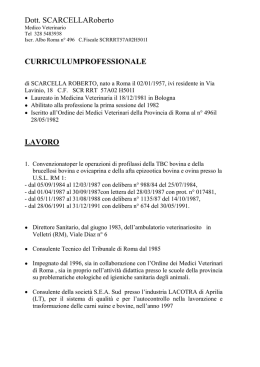 universo assicurazioni