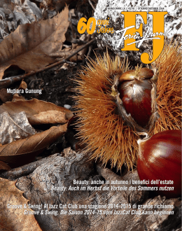 FJ - ferien journal