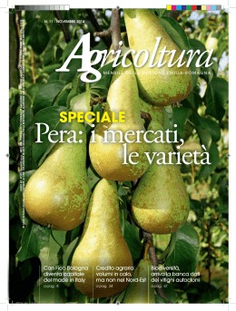 SPECIALE - Regione Emilia Romagna