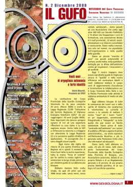 Venti anni &hellip; di orgogliosa autonomia e forte identit&agrave;