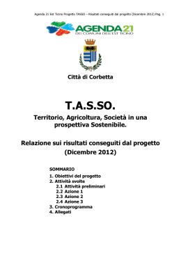 Il monitoraggio intermedio del progetto TASSO