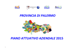 PAA Area Metropolitana di Palermo