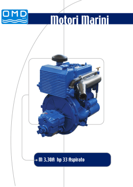 Page 1 Page 2 Dati motore Diesel a 4 tempi iniezione diretta Engine