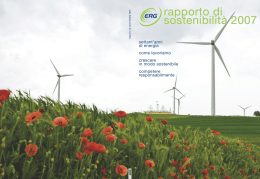 Scarica il Rapporto di Sostenibilità 2007
