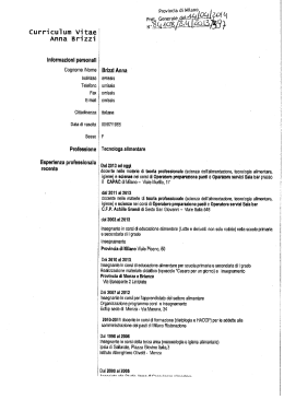 Curricuium vitae