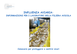 Influenza aviaria - Sabbatini Consulting