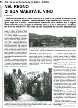 NEL REGNO \ DI SUA MAESTA IL VINO