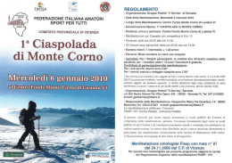 T*`&Eacute;l.F.iiii se: REGOLAMENTO