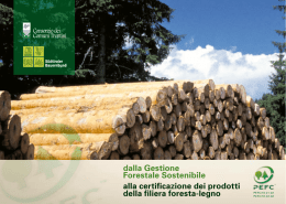 dalla Gestione Forestale Sostenibile alla certificazione dei prodotti