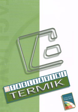 Page 1 Page 2 TERMIK Q La centralina digitate standard, permette