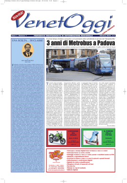 VenetOggi 1/2010 - Riccardo Delfino