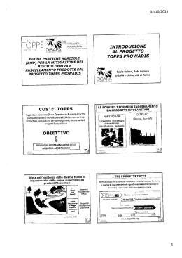 Progetto TOPPS Prowadis: slides di
