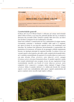 bosco del vaj e bosc grand - Insieme per Castagneto Po